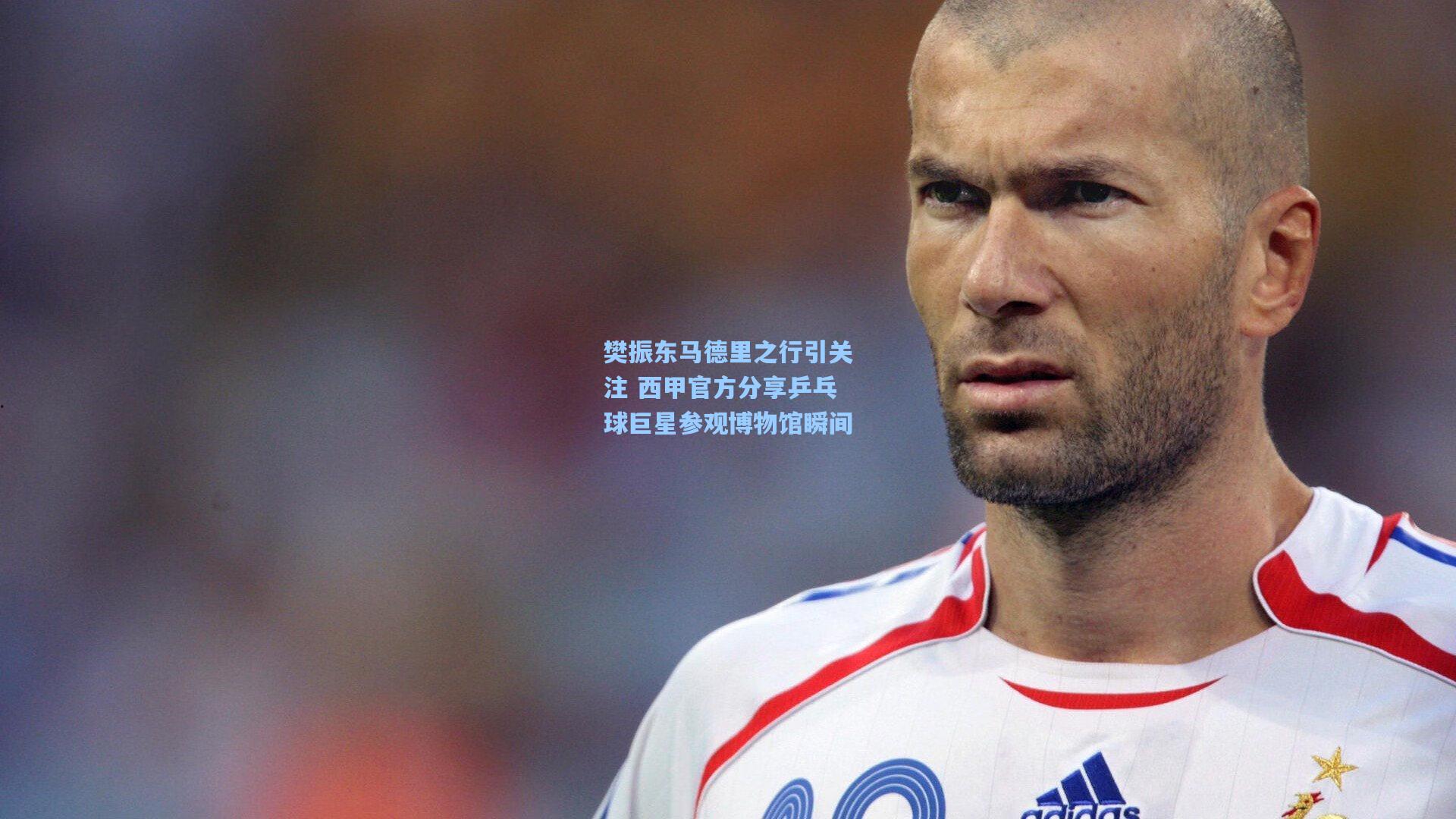 樊振东马德里之行引关注 西甲官方分享乒乓球巨星参观博物馆瞬间